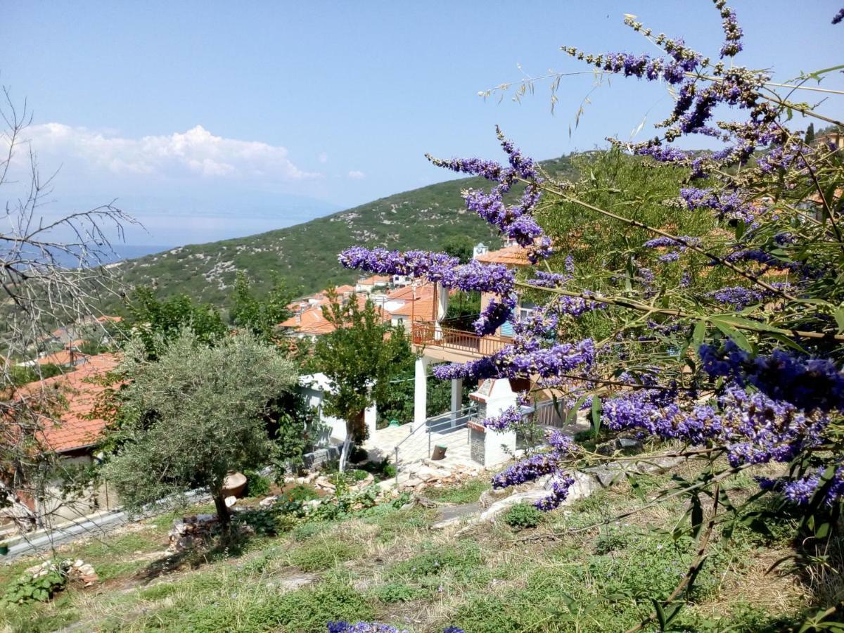Dimitra's Garden Villa Kallirákhi Exterior foto